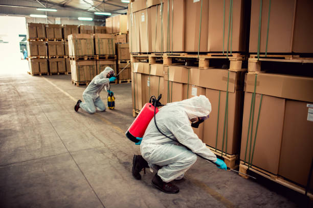 Best Emergency Pest Control  in New Boston, OH