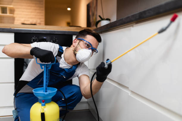 Trusted New Boston, OH Pest Control Experts