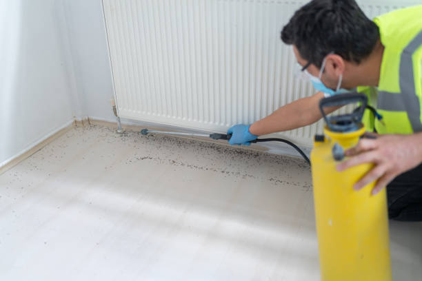 Best Pest Prevention Services  in New Boston, OH