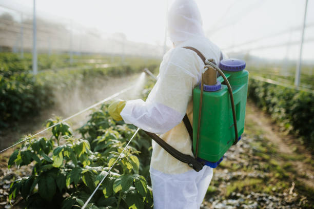 Best Exterminator Services  in New Boston, OH